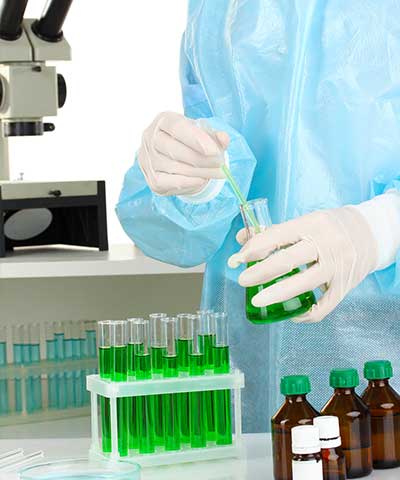 Direktori Balai Besar